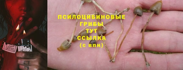 шишки Алексеевка