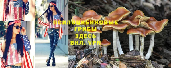 спайс Алексин