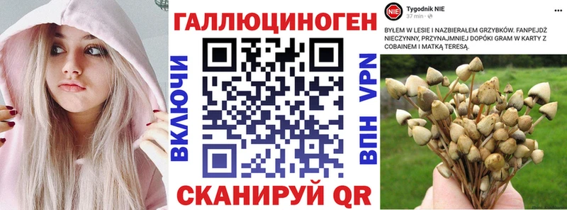 Галлюциногенные грибы ЛСД  сайты даркнета официальный сайт  Челябинск  где продают  